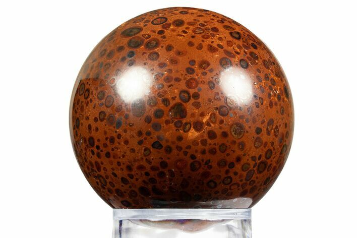 Polished Bauxite (Aluminum Ore) Sphere - Russia #316282